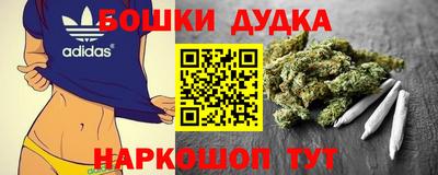 спиды Будённовск