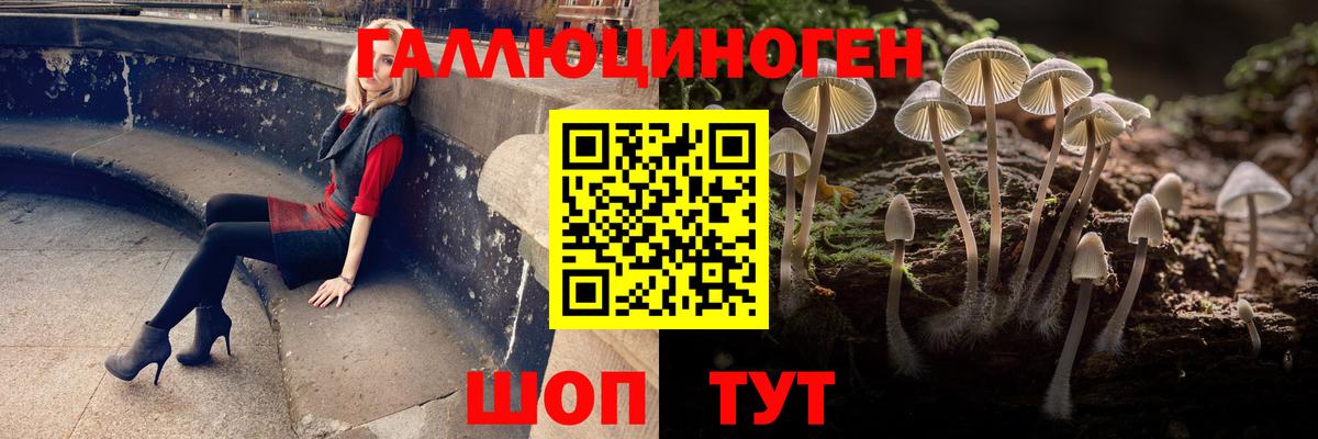 Галлюциногенные грибы Cubensis  Вход с VPN  Топки 